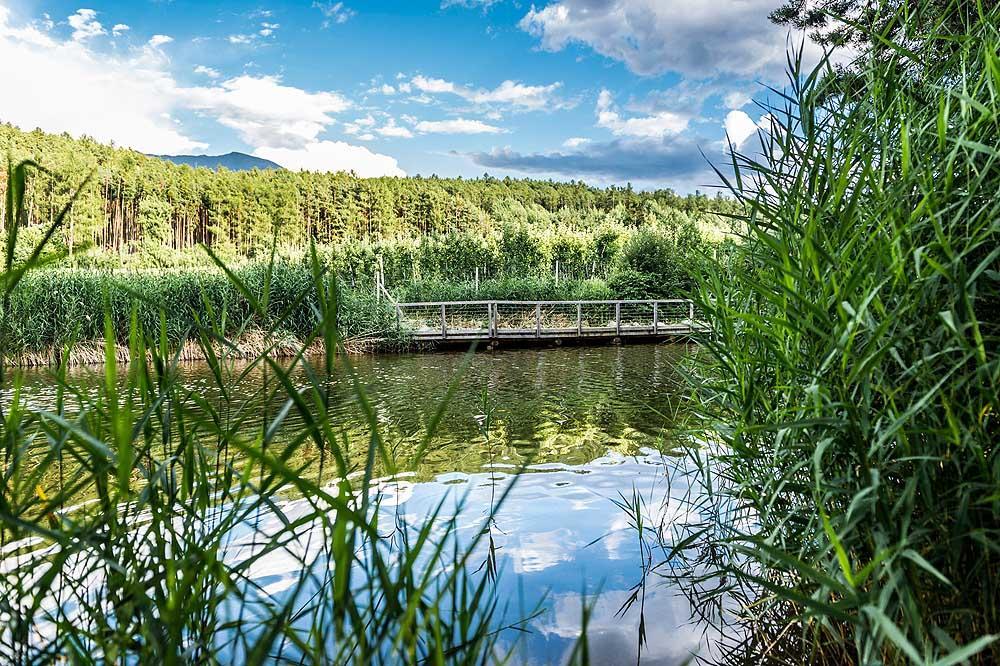 Walderhof Natz Βίλα Εξωτερικό φωτογραφία